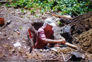 soil pit2